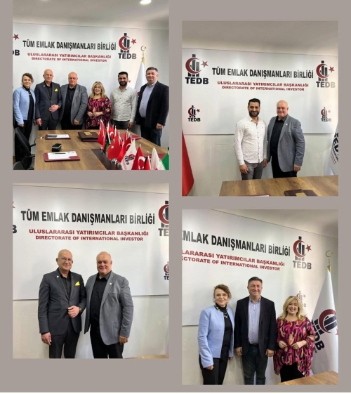 İstanbul İli İlçe Teşkilatlanması Çalışmaları