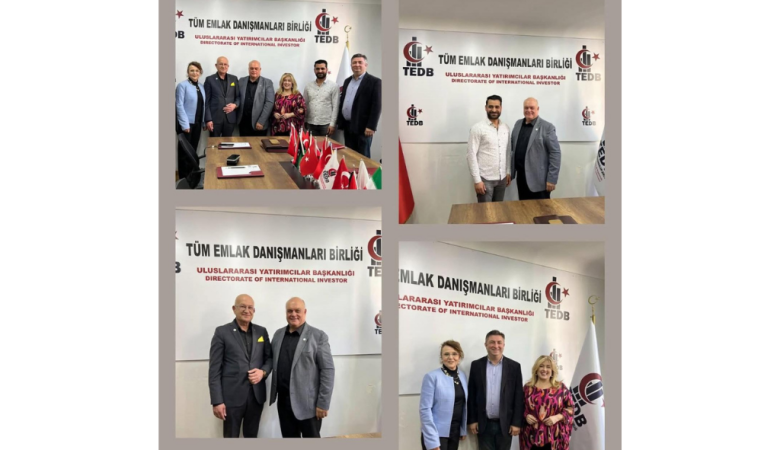 İstanbul İli İlçe Teşkilatlanması Çalışmaları