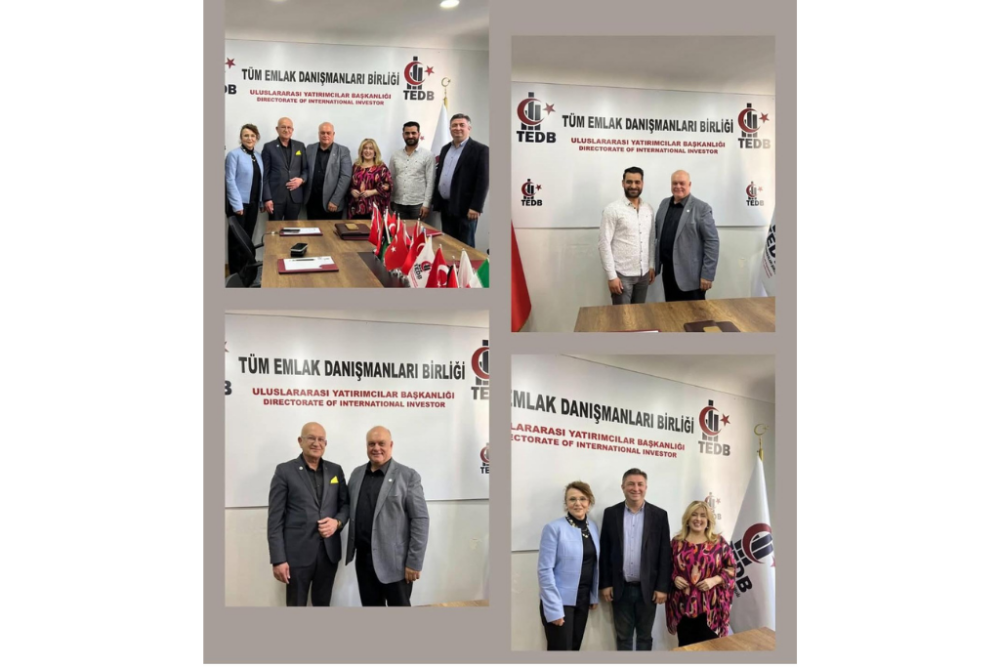 İstanbul İli İlçe Teşkilatlanması Çalışmaları